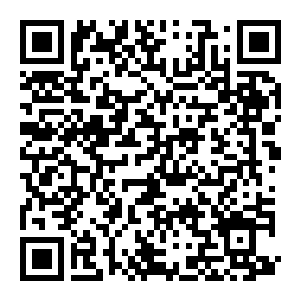 图片[2]-【PC】后室：无限 Build.25861070 官方中文版 容量6.8GB（Backrooms：Infinite）-电玩纪元