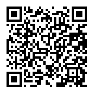 【PC】游戏店管家:谁把我的店搞乱了! Build.25693420 官方中文版 容量1.7GB(Game Keeper:Somebody Messed Up My Shop!)-电玩纪元