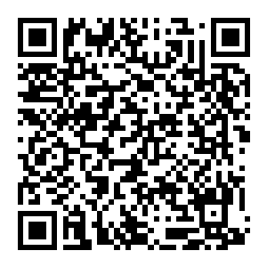 图片[2]-【PC】魔法双生 Build.25806360 官方中文版 容量3.4GB（Magic Twinborn）-电玩纪元