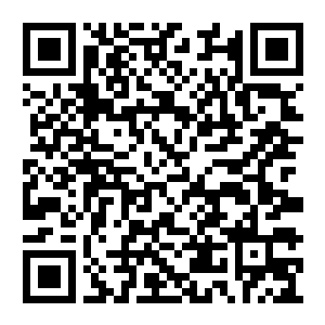 【PC】樱花计划 Build.25557042 官方中文版+全DLC（Project Sakura）-电玩纪元