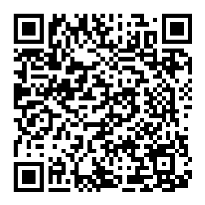 【PC】合金装备崛起:复仇 完整版 内置lamo汉化版+多项修改器+100%全要素手工收集存档 容量25GB(METAL GEAR RISING:REVENGEANCE)-电玩纪元