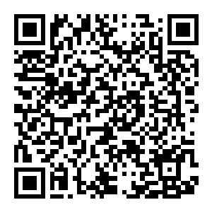 【PC】隧道逃生:命运交织 Build.25685713 官方中文版 容量9GB(Tunnel Escape Fates Entwined)-电玩纪元