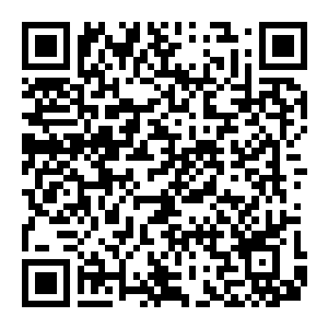 图片[2]-【PC】恶魔城 多米纳斯合集 Build.20281557 豪华中文版+全DLC+修改器+攻略（Castlevania：Dominus Collection）-电玩纪元