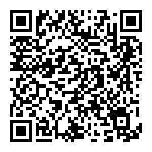 图片[2]-【PC】寻找青蛙：枝村篇 Build.24946265 官方中文版 容量1.1GB（Find My Frogs：Branches）-电玩纪元