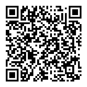 【PC】绝望文明 Build.25641575 官方中文版 容量6.2GB(Desperate Civilization)-电玩纪元