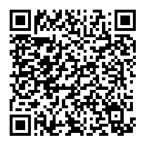 【PC】凯特尼斯环游世界 Build.25716934 官方中文版 容量3.3GB（Catniss around the world）-电玩纪元