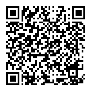 图片[2]-【独立游戏/小游戏】26年10月4日合集，能搜到就是在这里面，共7个-电玩纪元