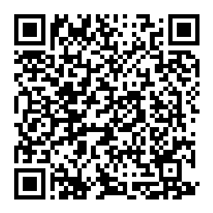 图片[2]-【修改器】艾尔登法环-电玩纪元