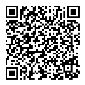 【PC】绝境边缘 Build.25607462 官方中文版 容量24.1GB(Isolation Edge)-电玩纪元