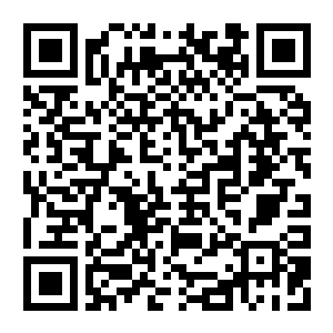 【PC】我们永远在这里 v1.2.3联机版 支持网络联机 官方中文版 容量22GB(We Were Here Forever)-电玩纪元
