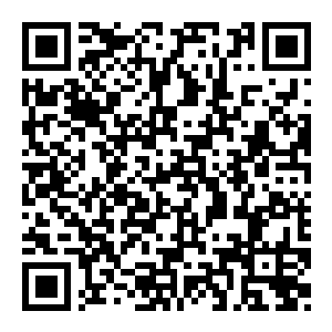 图片[2]-【修改器】忍者龙剑传大师合集-电玩纪元