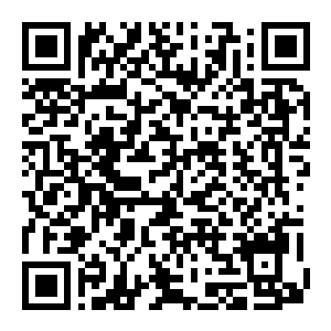 【PC】玩偶之巢 Build.25675189 官方中文版+全DLC(Dolls Nest)-电玩纪元