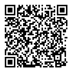 【PC】像素修仙录 Build.25796766 官方中文版+全DLC-电玩纪元