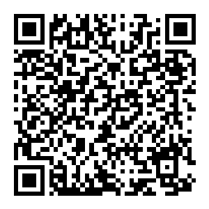 【PC】棋路地牢 Build.25642398 官方中文版+全DLC-电玩纪元
