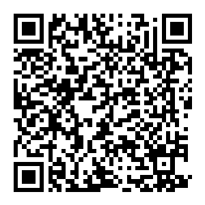 【PC】最后的营地：曙光 Build.21777010 官方中文版 容量11.3GB（The Last Camp：Dawn）-电玩纪元