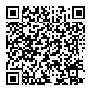 图片[2]-【PC】吐迷藏 Build.25847988 官方中文版 容量2.5GB（Puke and Seek）-电玩纪元
