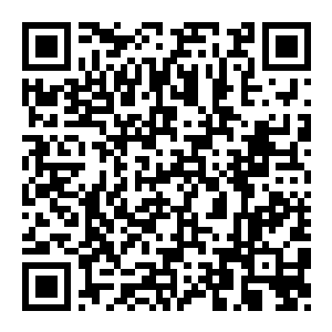 【PC】狂热运输3 Build.25533170 官方中文版 容量68.6GB(Transport Fever 3)-电玩纪元