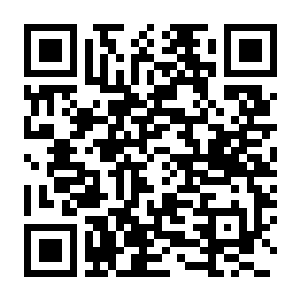 图片[2]-【PC】凯特尼斯环游世界 Build.25716934 官方中文版 容量3.3GB（Catniss around the world）-电玩纪元