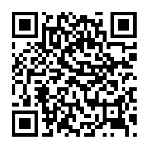 图片[2]-【PC】拯救小曼 Build.25671528 官方中文版+全DLC-电玩纪元