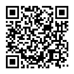 【PC】恐龙馆 Build.24554931 官方中文版 容量2.8GB（Dinosaurium）-电玩纪元