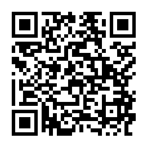 【PC】百变格斗家 Build.25899007 官方中文版 容量4.4GB(Poly Fighter)-电玩纪元