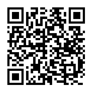 【PC】寻找青蛙：枝村篇 Build.24946265 官方中文版 容量1.1GB（Find My Frogs：Branches）-电玩纪元