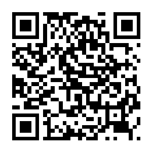 图片[2]-【PC】像素修仙录 Build.25796766 官方中文版+全DLC-电玩纪元