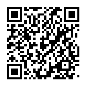 【PC】纸头 Build.25829881 官方中文版 容量7.4GB（PAPERHEAD）-电玩纪元