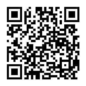 图片[2]-【PC】摩托GP26 Build.25628417 官方中文版 容量21GB（MXGP 26 – The official game）-电玩纪元