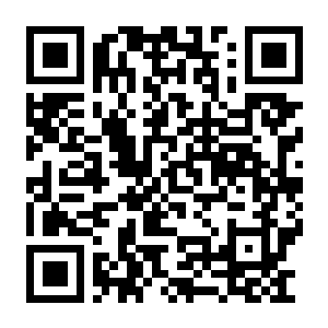 图片[2]-【PC】最后的营地：曙光 Build.21777010 官方中文版 容量11.3GB（The Last Camp：Dawn）-电玩纪元