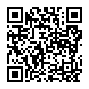 【PC】全面战争 幕府将军2 完全版 Build.25810990 官方中文版+预购特典+全DLC-电玩纪元