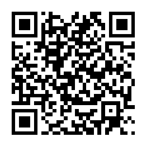 图片[2]-【PC】抬走伯爵 Build.25651106 官方中文版 容量5.3GB（Carry The Count）-电玩纪元