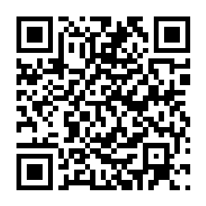 图片[2]-【PC】分叉路 Build.18716248 官方中文版 容量4.12GB（Fork Road）-电玩纪元