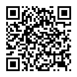 图片[2]-【PC】棋路地牢 Build.25642398 官方中文版+全DLC-电玩纪元